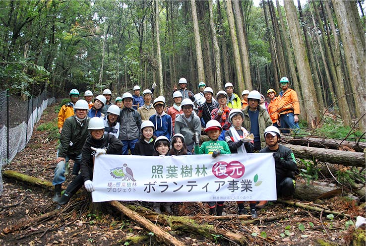 “Aya evergreen forest project”