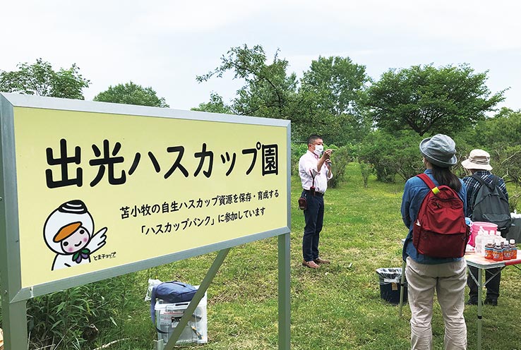 出光ハスカップ園