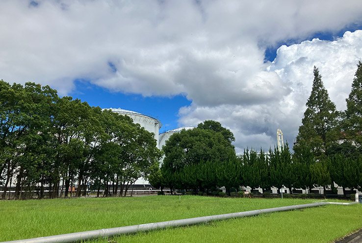 Aichi Complex Green Belt